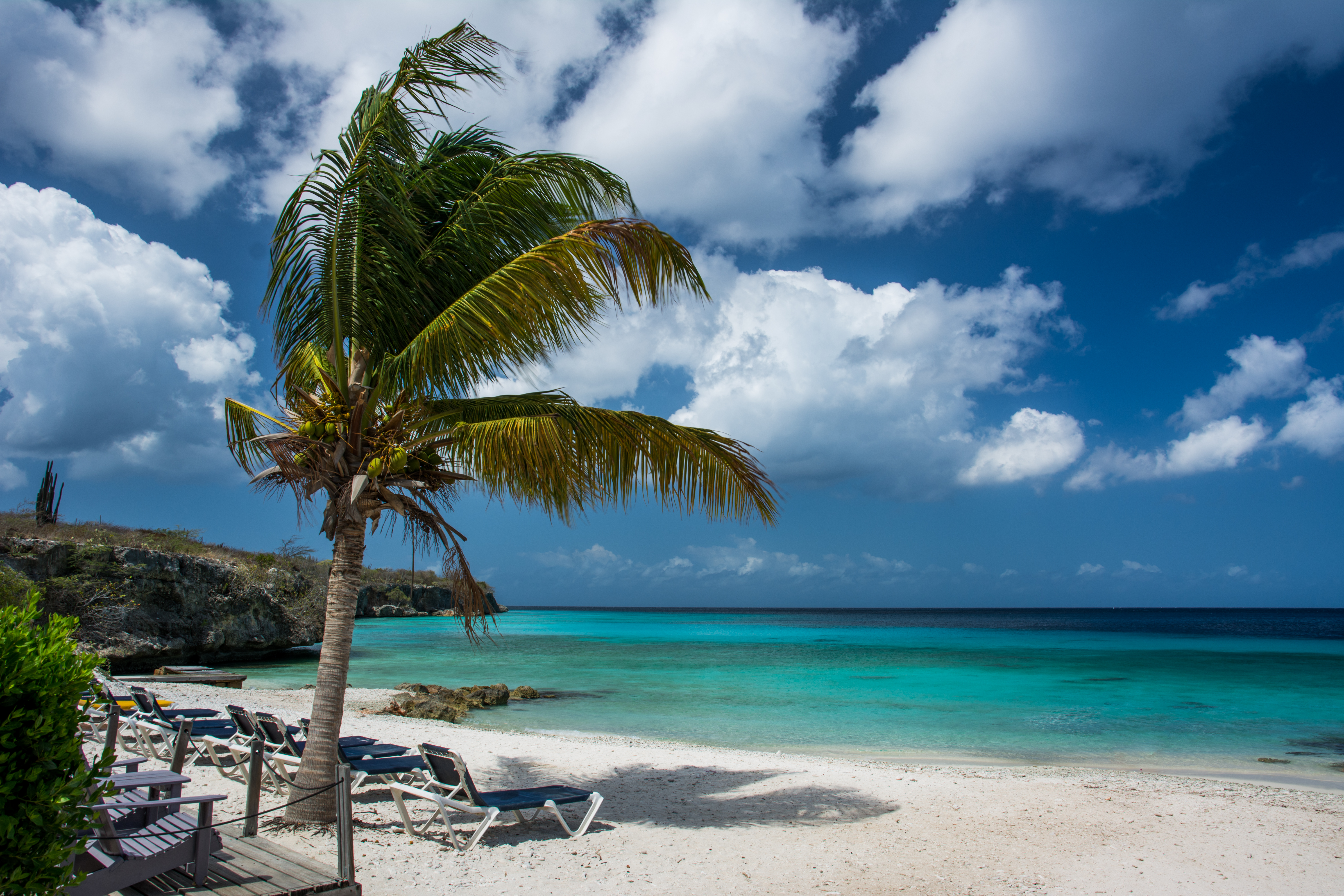 Trpical Beach